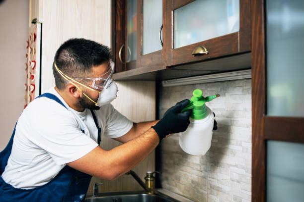 Professional Pest Control in Grantley, PA