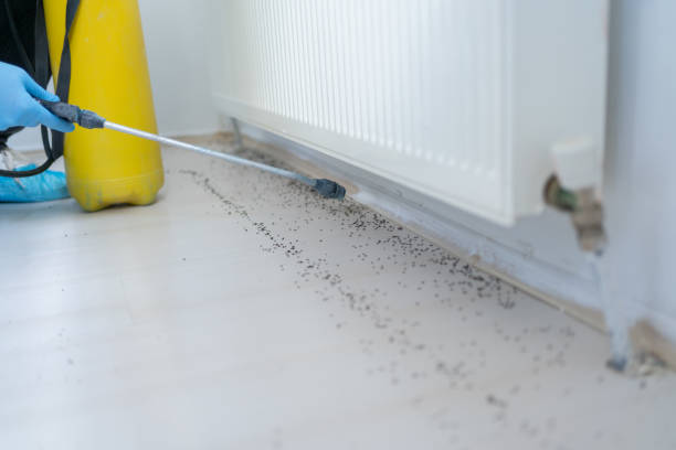 Best Commercial Pest Control Services  in Grantley, PA