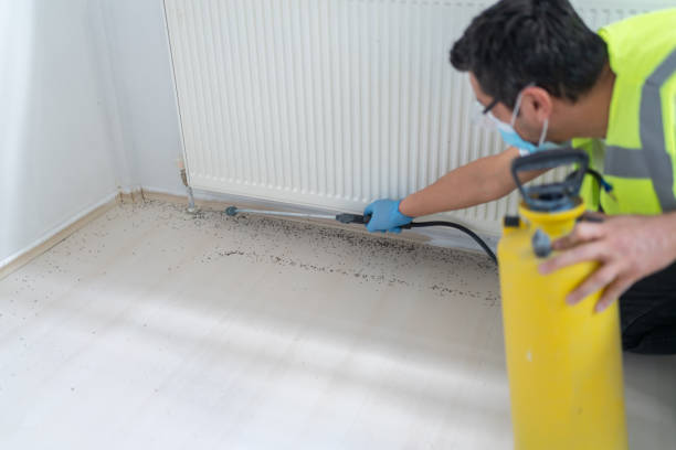 Best Local Pest Control Services  in Grantley, PA